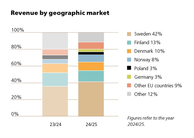 Revenue by geographic market 