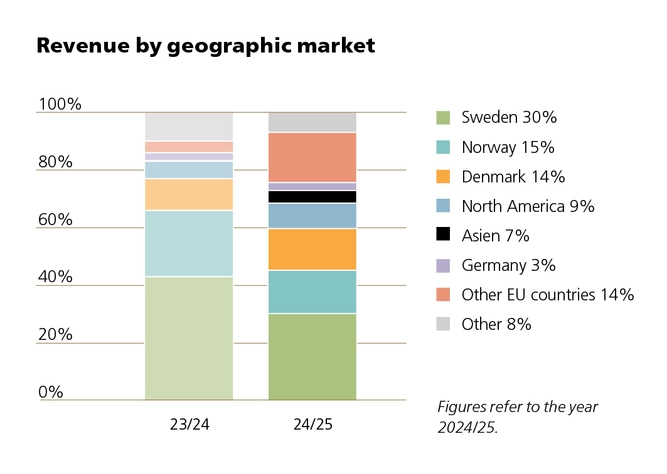 Revenue by geographic market 