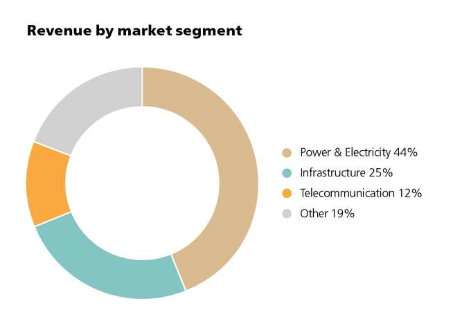 Revenue by market segment 