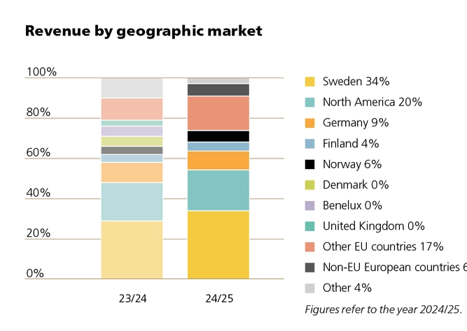 Revenue by geographical market